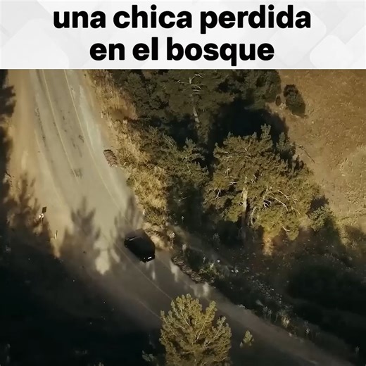 30K views · 558 reactions | La única compañía de la niña es su perro  #LaHijadelEmbajador #TubaBüyüküstün #EnginAkyurek | Sefirin Kızı - La Hija Del Embajador | Facebook