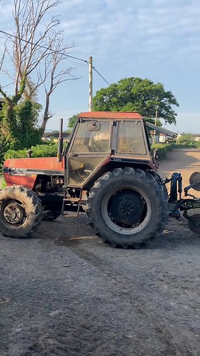 Manganese deficiency due to not being rolled after sowing…? 樂樂 | Emyr1690 | Facebook