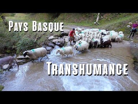 Documentaire - Transhumance - Pays Basque