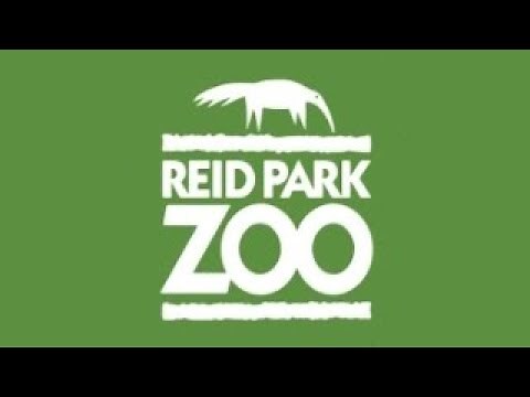 Reid Park Zoo Full Tour - Tucson, Arizona