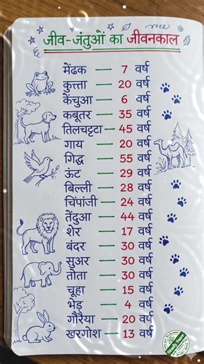 🐢 कौन सा जानवर कितने साल जीता है? 🤯#AnimalLifeSpan #WildlifeFacts #AnimalsInHindi #InterestingFacts