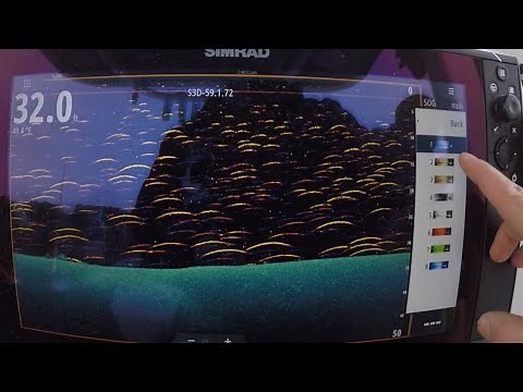 Fish Reveal FIRST LOOK! Quick Set-Up! Simrad - Lowrance