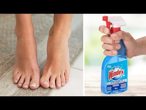 17 Uses for WINDEX Everyone Should Know