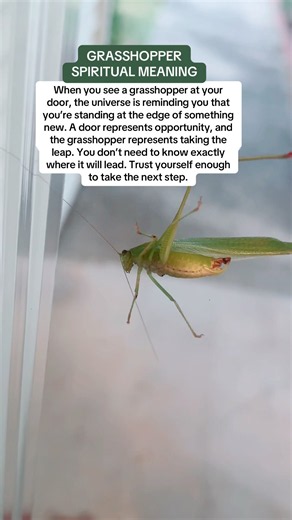 Grasshopper Spiritual Meaning 💚✨ #SignsFromTheUniverse