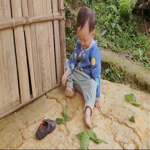 A tiring day at work for a single mother of two children, fencing her vegetable garden with bamboo | The Pombing Vide