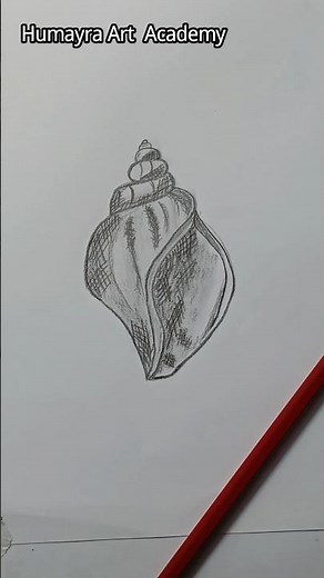 Snail Pencil Sketch 🐌 | Easy & Realistic Drawing for Beginners