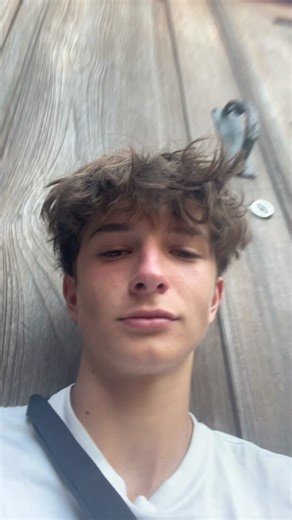 Exploring the Bond of Biological Brothers