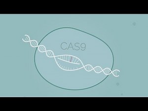 CRISPR/Cas9 explained in 4 minutes