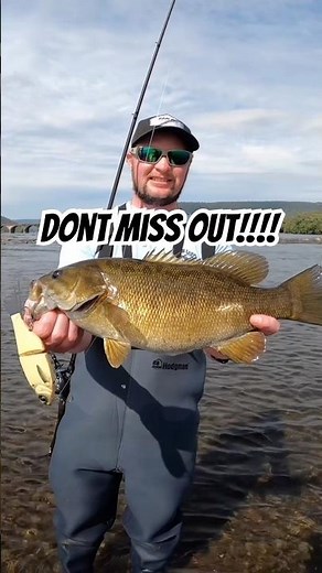 Don’t MISS These Fall Smallmouth Tactics for BIG Bass!! #bassfishing #fallbassfishing #outdoors