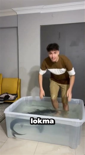 Çok Sevimli Köpek Balığı Nemo