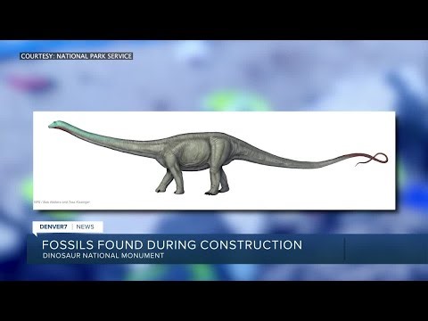 New dinosaur fossils found during construction at Dinosaur National Monument