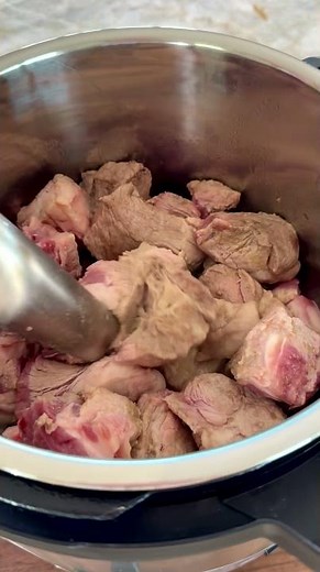 FOOLPROOF PORK CARNITAS 🍖