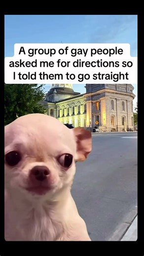 dj_rob_one_212_nyc (@dj_rob_one_212_nyc)’s videos with original sound - dj_rob_one_212_nyc