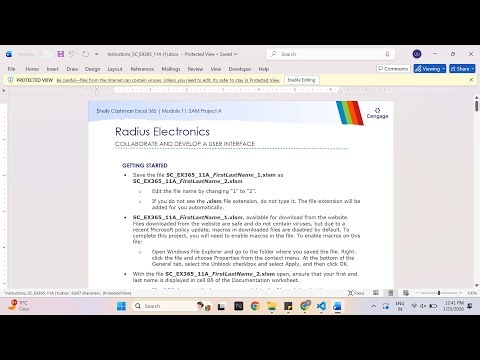 Shelly Cashman Excel 365 | Module 11: SAM Project A Radius Electronics