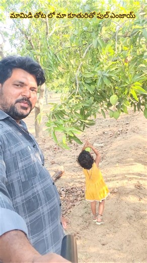 మా కూతురితో మామిడి తోటలో ఫుల్ ఎంజాయ్ 🥭😍 | Village Life Vlog#ytshorts #sunilvlogs