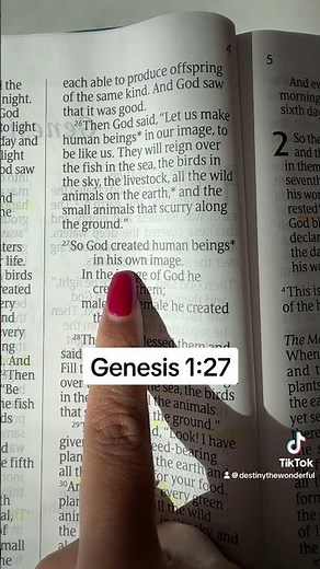 You Were Created with Purpose! ✨ | Genesis 1:27