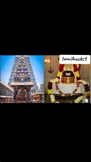 #CapCut #CapCut#tipsandtrickscks9#tiktok#tamiltips