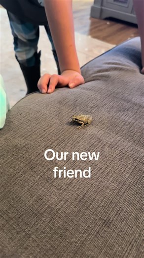 Frog friend 🐸 #2026 #frog #newyears #ranch #friends