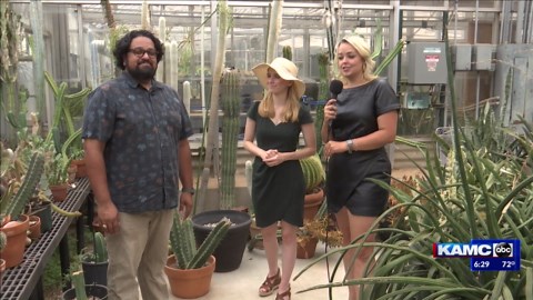 @ThePlantProf shares why the cactus is the perfect symbol for West Texas toughness