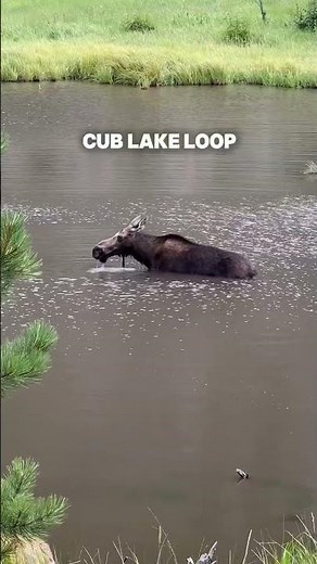 Estes Park’s Best Spring Hikes