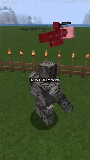 Vindicator vs Iron Golem Who Wins? | Minecraft Mob Battle #minecraft