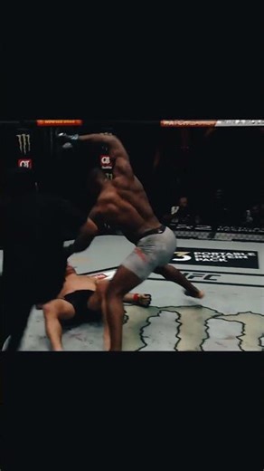 Most Brutal UFC Heavyweight Knockouts | Legendary Moments