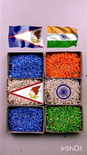 American Samoa 🇦🇸 & India 🇮🇳 Friendship Coin Art 🪙 | Flag Painting on Coin | Viral Shorts 2025