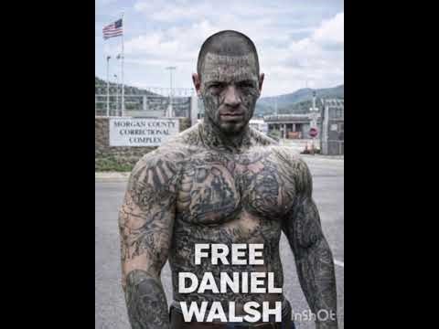 Daniel Walsh-Pine Box Sentence