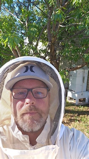 Inspection day #beekeeping #bees #beesuit #honey #honeybee #mitecheck
