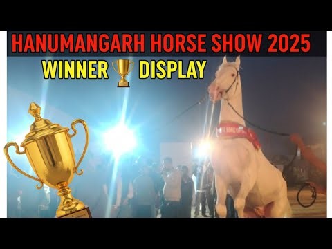Hanumangarh horse show 2025 winner 🏆 display five time se winner 🏆#horse#horsefan#horsepower 🐴
