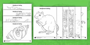 The Amazon Rainforest KS2 Colouring Pages (Rainforest Calling)