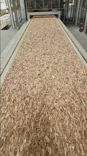 The process production of OSB#osb #particleboard #machine #belt #plywood