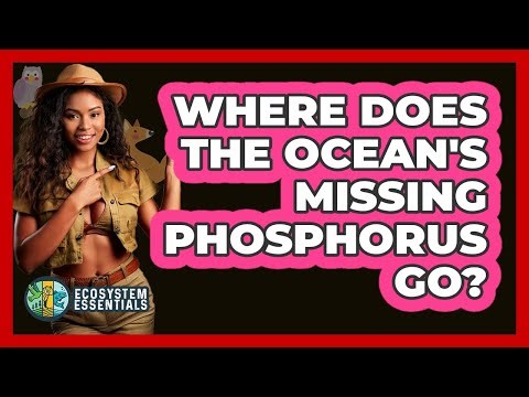 Where Does The Ocean's Missing Phosphorus Go? - Ecosystem Essentials