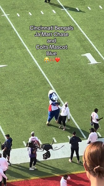 Cincinnati Bengals vs Colts Mascot Highlights