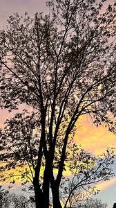 Bride to be 🤎 #bridalshowe #bachparty #bridetobe #globospuebla #globos #backdrop #balloonsdecor #balloongarland | Little Details Puebla
