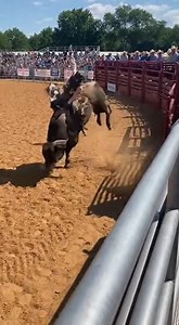 Shared by @bleacherbuzz 🤘 Bull explodes out of the chute and the whole set of bleachers starts shaking 😳🐂 That first jump was violent. Make sure to send in your random rodeo videos so we can share them too 🤠🔥 #BullRiding #RodeoLife #BullRide #RodeoChaos #RodeoMoments #RodeoNation #WesternVibes #AI? #RodeoCommunity | Outdoors Uncut