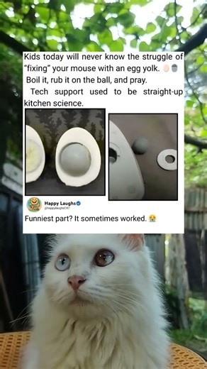 Old-School Mouse Fix Egg Trick Nostalgia Tech Moment