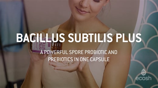 Watch Bacillus Subtilis Spore Probiotic Benefits on Amazon Live
