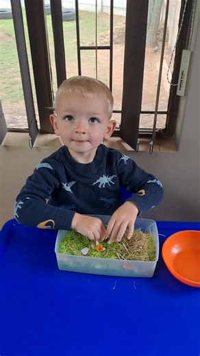 🦁 Wild Animal Hunt! 🐘 Today we searched through a sensory bin to find different wild animals — naming each one as we discovered them! A fun way to build language and curiosity through play. 🌿 💡 Skills in action: ✅ Vocabulary building ✅ Animal recognition ✅ Sensory exploration ✅ Focus & engagement #littlefinchesearlylearningcentre 🌈 #learningthroughplay #sensoryplay #preschoolactivities #earlychildhooddevelopment #languagelearning #animalrecognition #playbasedlearning | Little Finches Early 