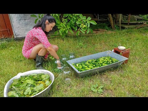 The life of a young woman in the village: picking vegetables and fruits, cooking and relaxing