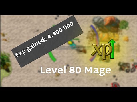 Tibia insane hunting spawn 4kk Exp/H from 80. | Low level mage guide.