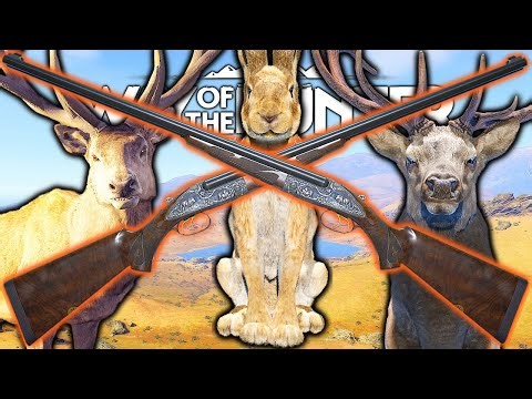 .416 Remington Magnum Doublejab Hunt | Way of the Hunter