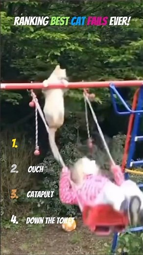 Funniest Cat Fails Ever 😹🐾 | Try Not To Laugh Compilation