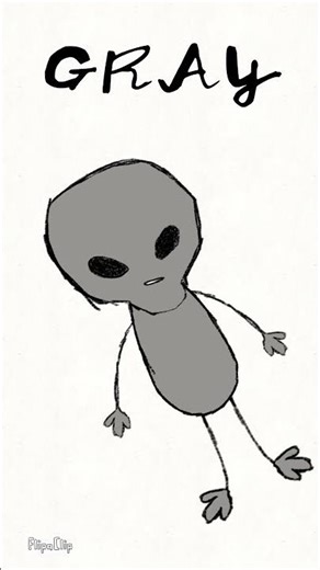 why people have different details of Alien#alien#racer