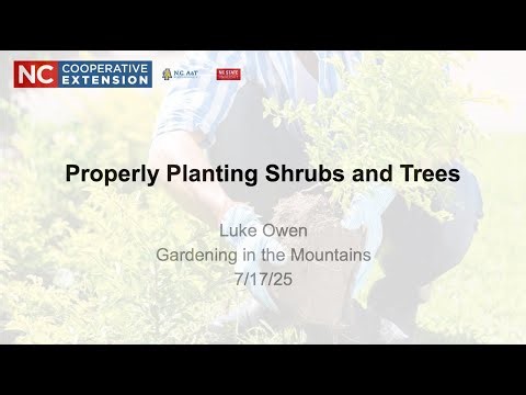 Properly Planting Shrubs and Trees