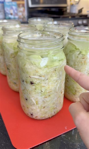 i learned this in germany this tutorial shows the process of making homemade sauerkraut. very easy and fun recipe! #recipe #easyrecipe #sauerkraut | Brooklyn B