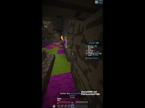 DONUT SMP | TELEPORTING TO VIEWERS | Free Netherite Swords!