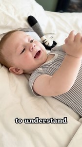 Replying to @Avielle Gonen Science Baby’s hot take that the Dunstan Baby Language might not be all that! #sciencebaby #science #baby #cutebaby #newborn #cutenewborn #newbornbaby #newbornbaby #firsttimemom #firsttimedad #parenting #cry #babycry #babycrying #babylanguage #dunstanbabylanguage #priscilladunstan #neh #eh #earh #owh #heh #peerreview #flowchart #babycues | The Science Baby