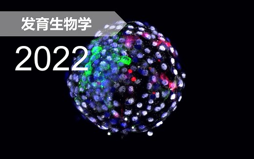 【动物】发育生物学系列讲座 2022