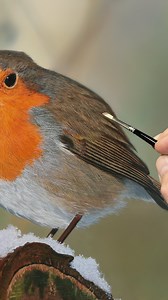 28K views · 773 reactions | How to paint a Robin - MJS Tv tutorial  Link in bio. #beautiful #fyp #art #artwork #painting | Michael James Smith | Facebook